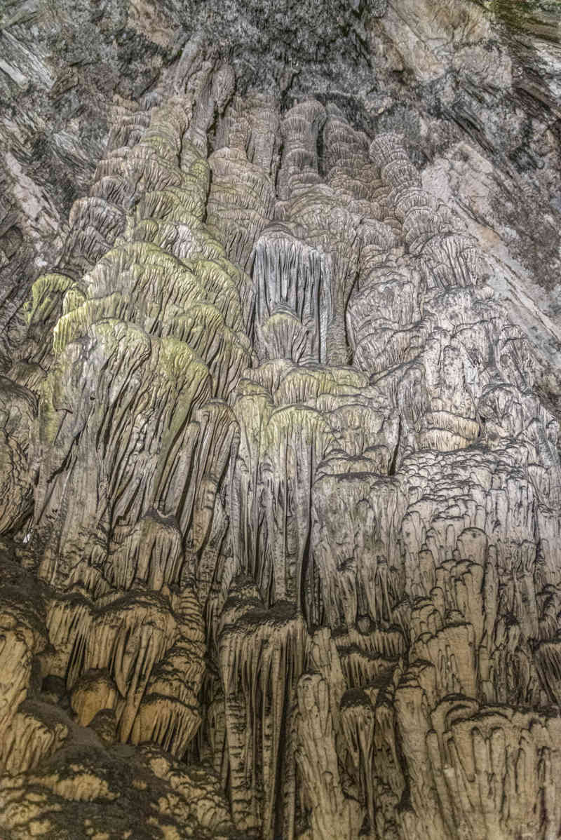 Mallorca - Artà - coves de Artà 47.jpg